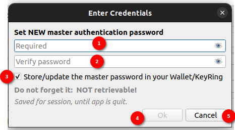 Set master password